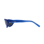 SPORTEIZ SUNGLASSES [BLUE]