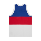 VICE MESH KNIT VEST [MULTI]